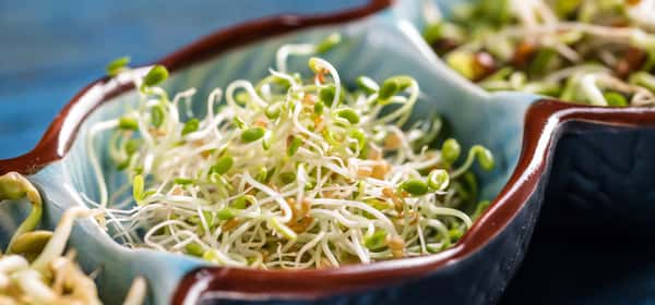 7 healthy types of bean sprouts
