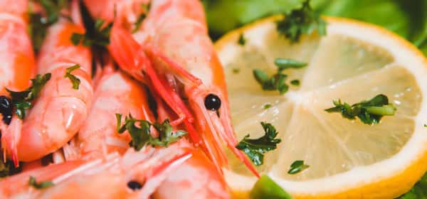 Can vegans eat shrimp?