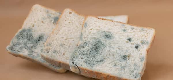 Is it safe to eat moldy bread?
