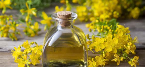 Is canola oil healthy? Nutrition, downsides, and alternatives