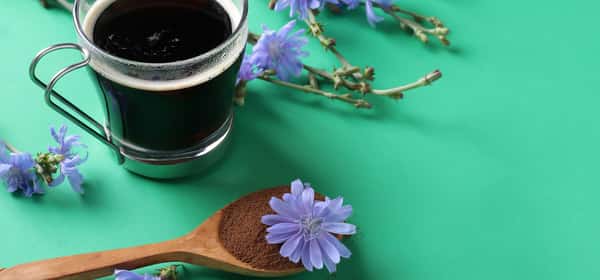 Chicory coffee: A healthy alternative to coffee?