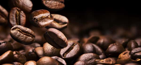 Is it safe to eat coffee beans? Benefits and dangers