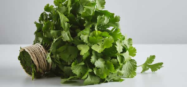 7 clever substitutes for coriander seeds and cilantro leaves