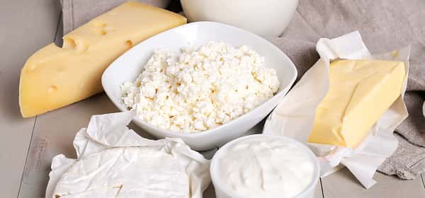 Dairy foods low in lactose