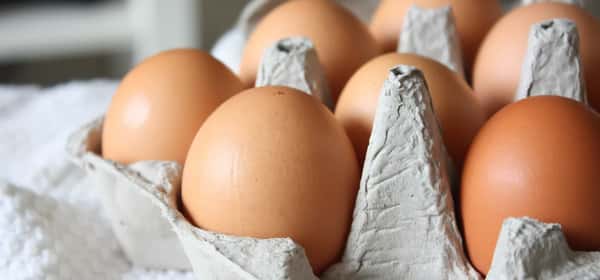 Υποκατάστατα αυγών