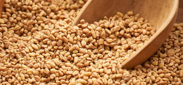 Are fenugreek seeds good for your hair?