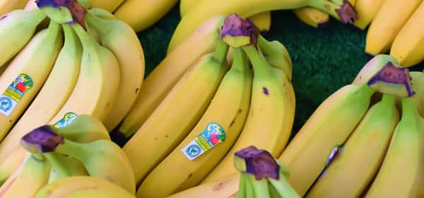 Hälsofördelar med bananer