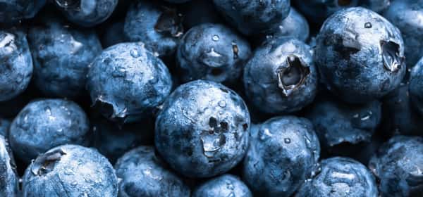 Hälsofördelar med blåbär