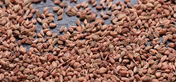 Health benefits of carom seeds
