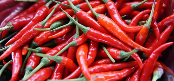 Lợi ích sức khỏe của ớt cayenne