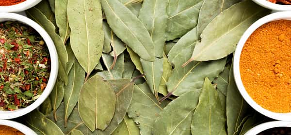 Beneficios de las hojas de curry para la salud