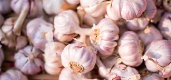 Benefici per la salute dell'aglio