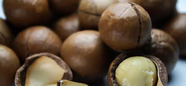 Makadamiapähkinöiden terveyshyödyt