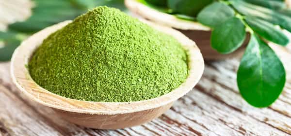 Lợi ích sức khỏe của Moringa oleifera