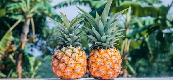 Korzyści zdrowotne ananasa