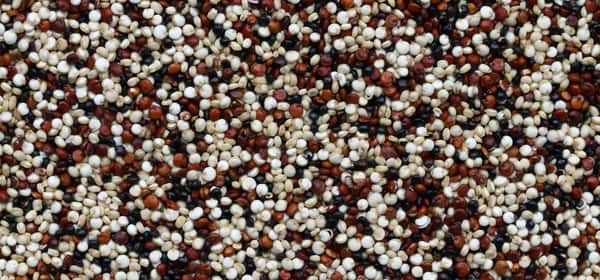 Hälsofördelar med quinoa