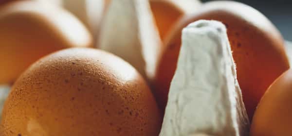 Wie lange halten sich Eier, bevor sie schlecht werden?