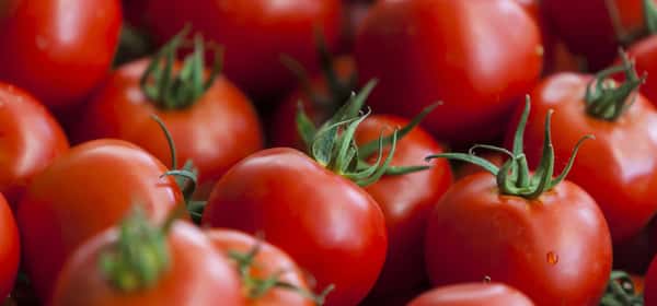 Er en tomat en frukt eller grønnsak?
