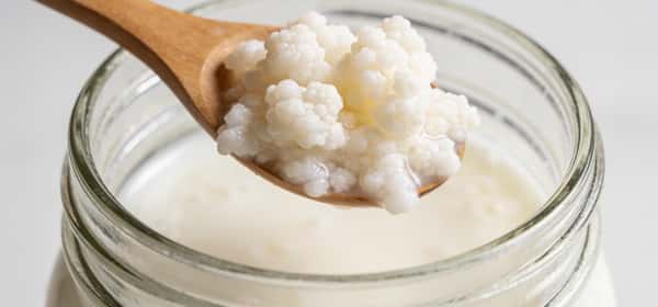 Kefir Grains: What They Are and How They Work