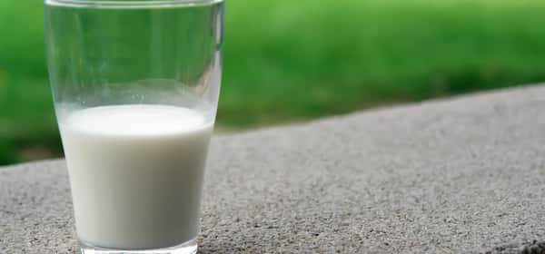 Susu bebas laktosa
