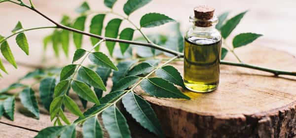 副作用とリスク