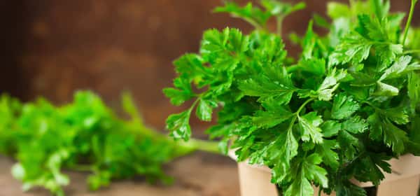 Parsley substitutes