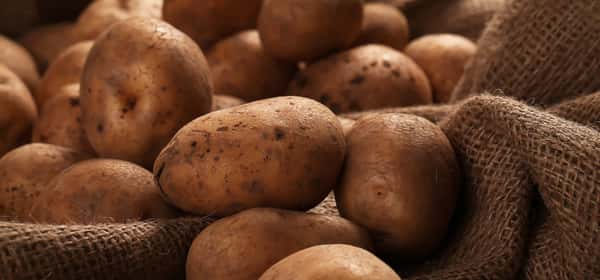 Potatoes and diabetes
