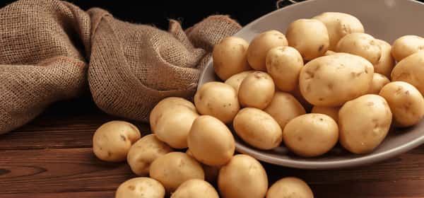 Những quả khoai tây