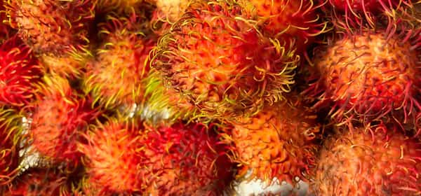 資格のある実践者をどうやって見つけることができますか?