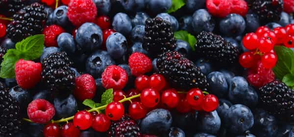 Motivi per mangiare i frutti di bosco