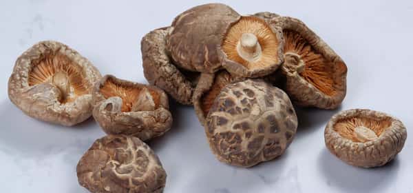 Shiitake sieniä
