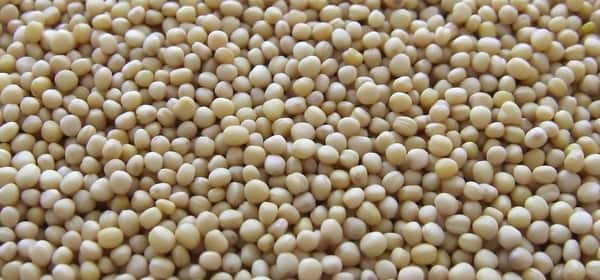 Soy: Good or bad?