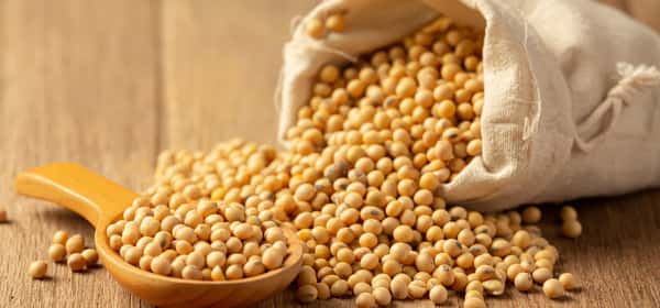 Soybeans: Nutrition facts, health effects & downsides
