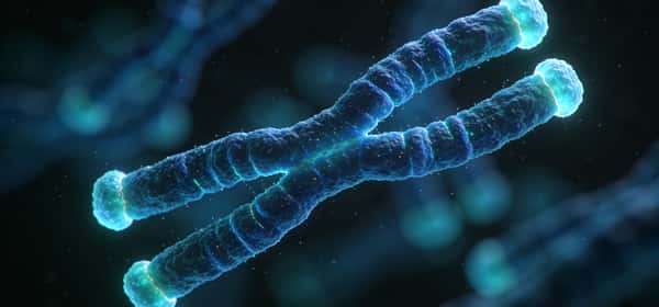 Shëndeti i Telomereve: Çfarë janë Telomeret dhe Si t'i Mbrosh ato
