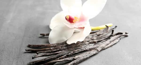 Pengganti ekstrak vanila