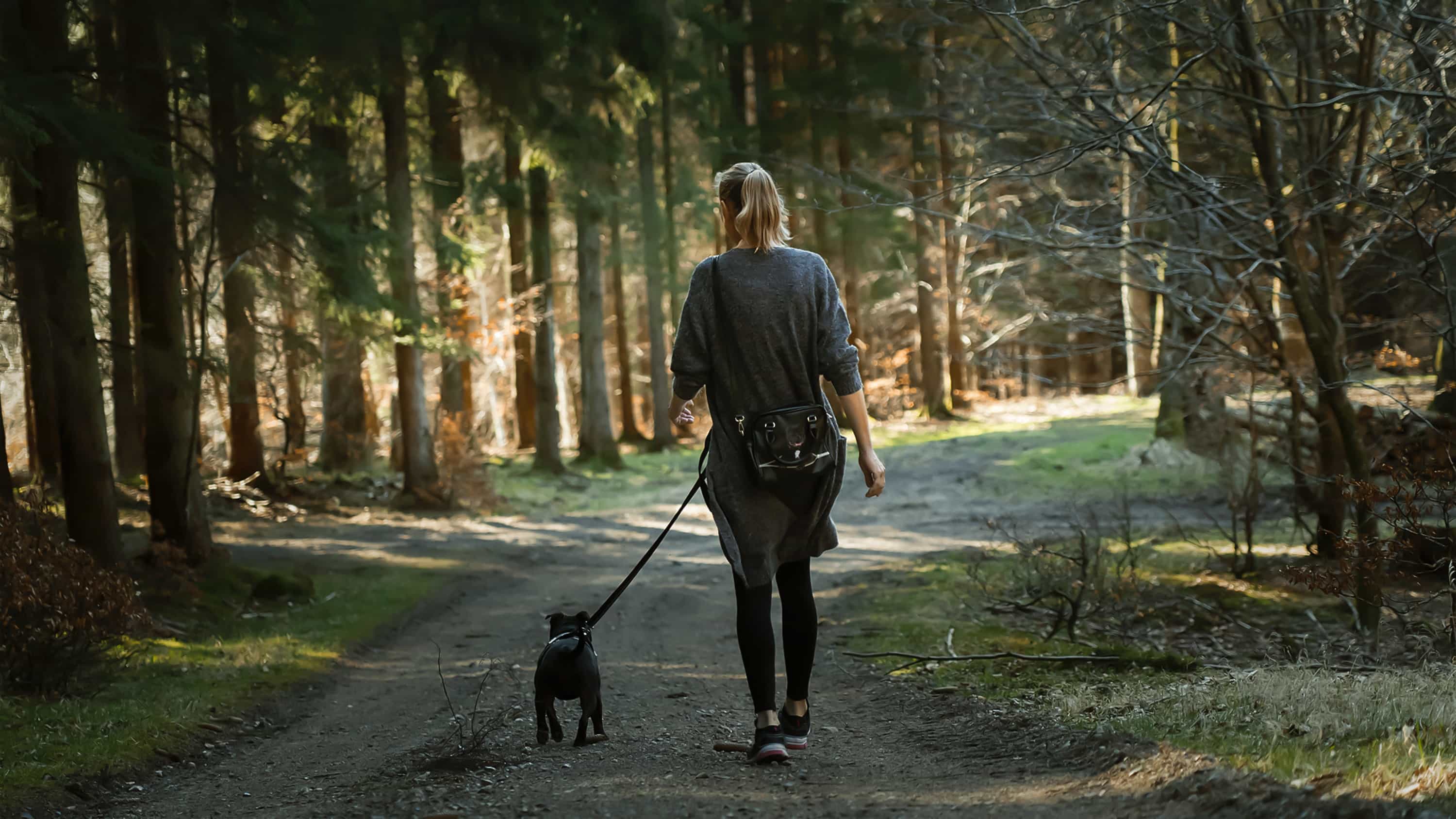 10 best ways to increase dopamine levels naturally