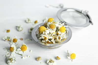 Dry chamomile flowers