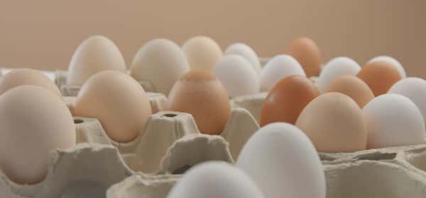 Are eggs considered a dairy product?