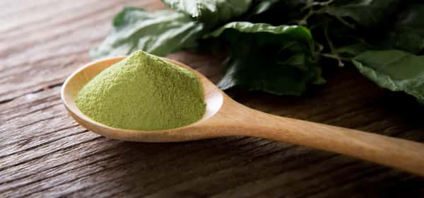 Health benefits of green tea extract