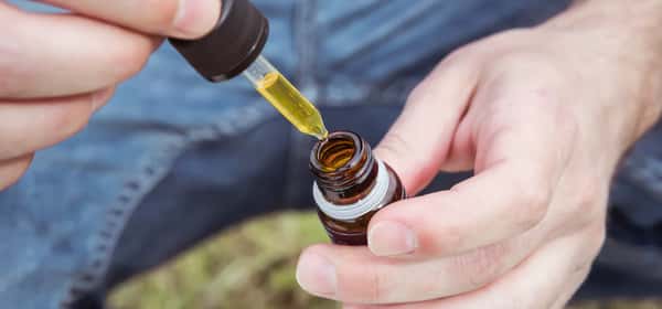 Health benefits of oregano oil