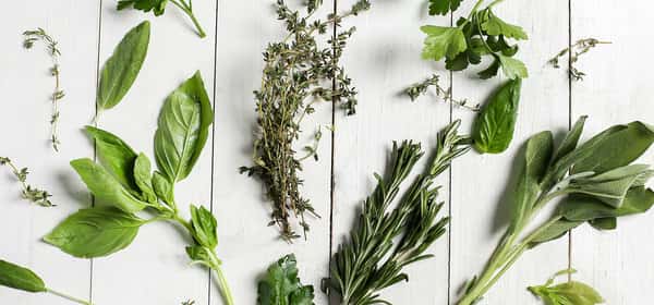 Herbs to lower blood pressure